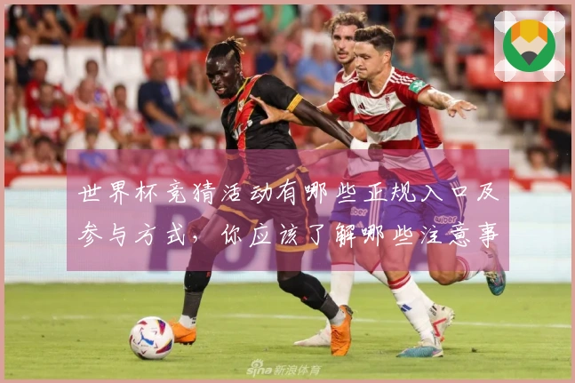 世界杯竞猜活动有哪些正规入口及参与方式,你应该了解哪些注意事项?