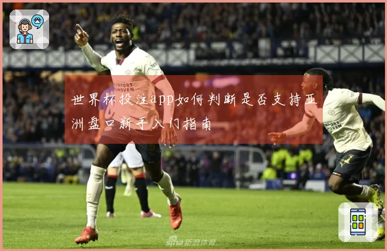 世界杯投注app如何判断是否支持亚洲盘口新手入门指南